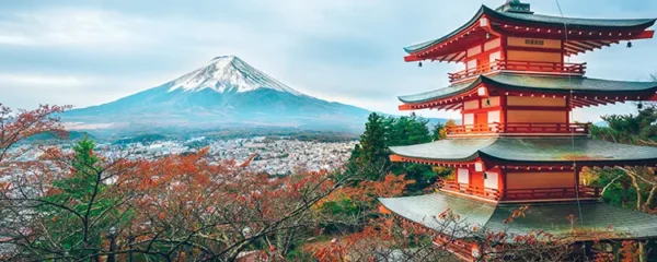 Ce qu’il faut savoir avant de partir à Tokyo : conseils et astuces
